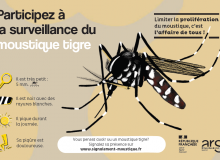 Surveillance moustique tigre