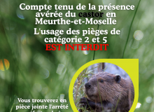 Castor et pièges interdits