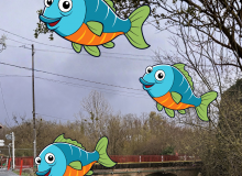 Travaux sur les ponts : Route coupée pendant 2 jours à la circulation