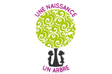 1 naissance / 1 arbre