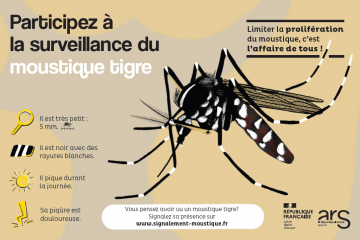 Surveillance moustique tigre