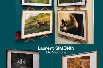 Exposition à la Mairie de Laurent SIMONIN