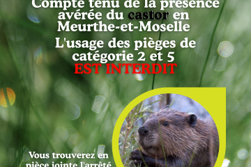 Castor et pièges interdits