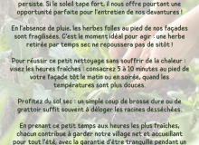 Désherbage des pieds de façades