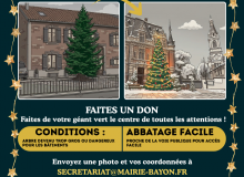 La commune recherche son sapin majestueux