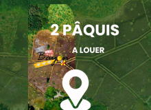2 pâquis à louer