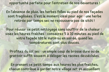 Désherbage des pieds de façades