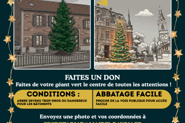 La commune recherche son sapin majestueux