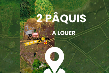 2 pâquis à louer